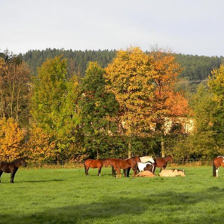 Lidmiluv Mlyn Hotel Sadek ภายนอก รูปภาพ