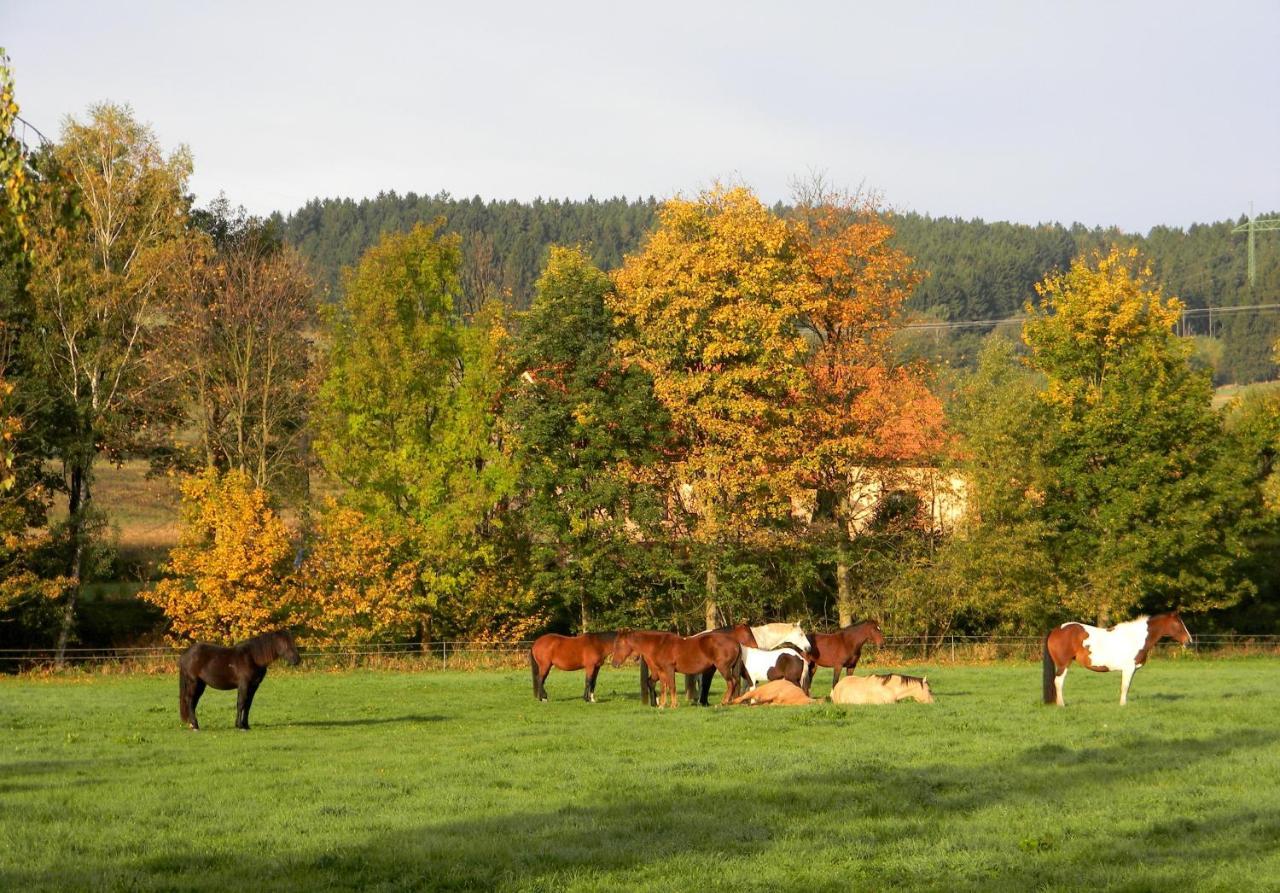 Lidmiluv Mlyn Hotel Sadek ภายนอก รูปภาพ