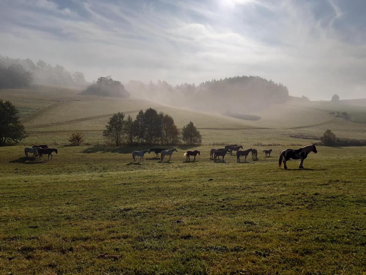 Lidmiluv Mlyn Hotel Sadek ภายนอก รูปภาพ