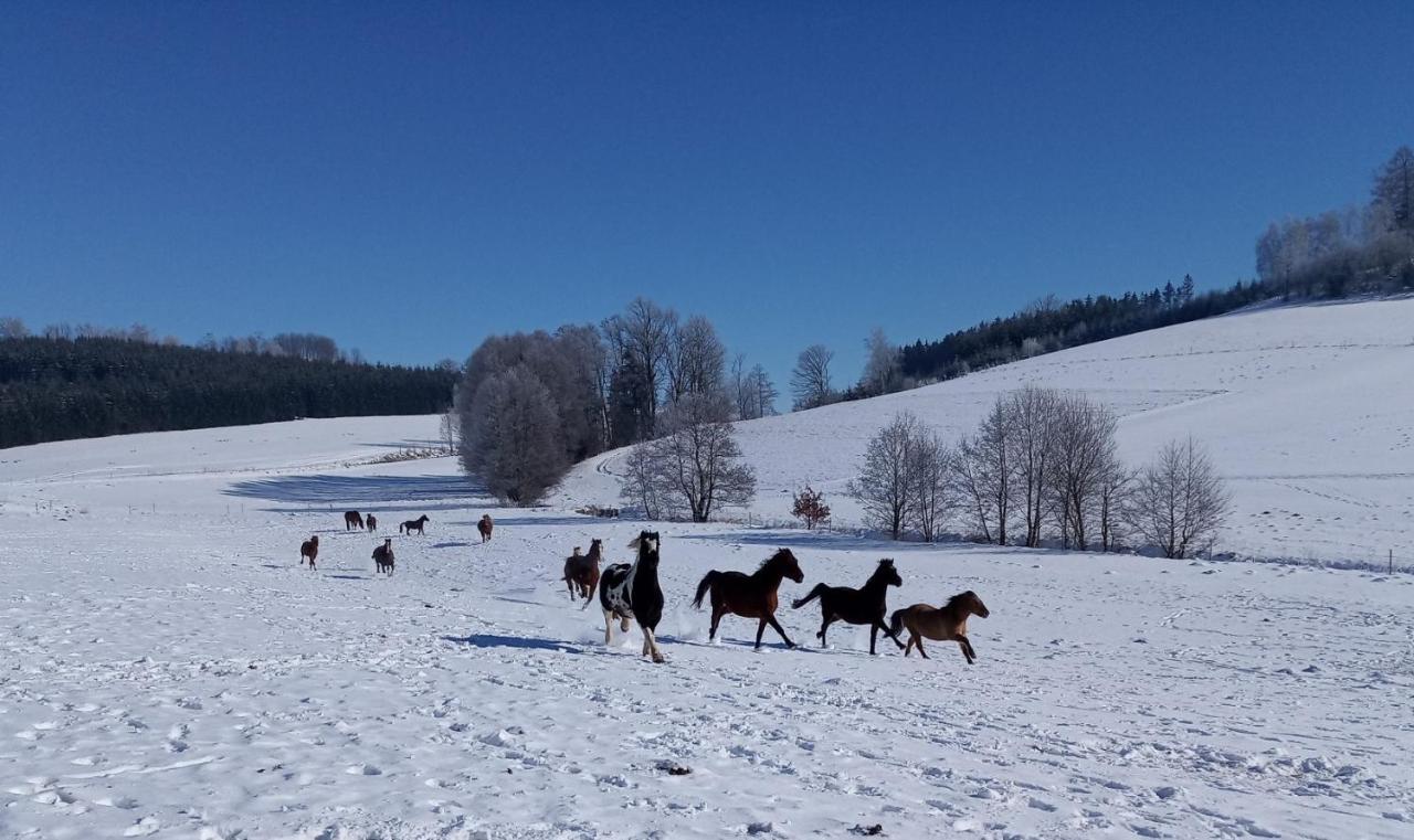 Lidmiluv Mlyn Hotel Sadek ภายนอก รูปภาพ